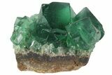 Fluorite Crystal Cluster - Rogerley Mine #94524-1